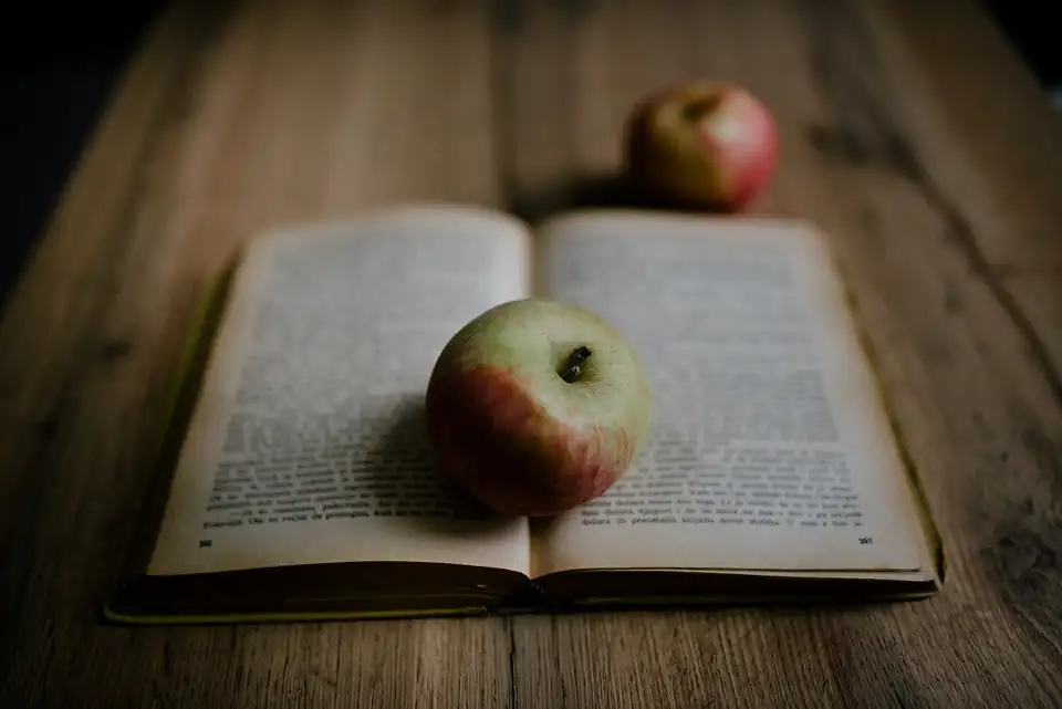 Reading — Jason's Place Storybook Room