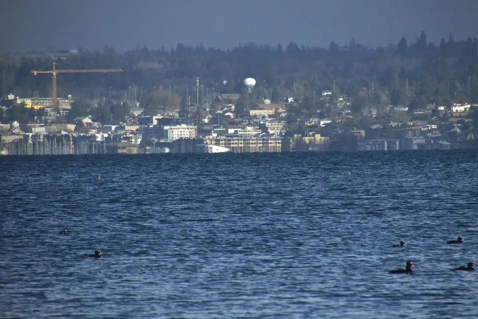 Des Moines, Wash., seen from Dumas Bay