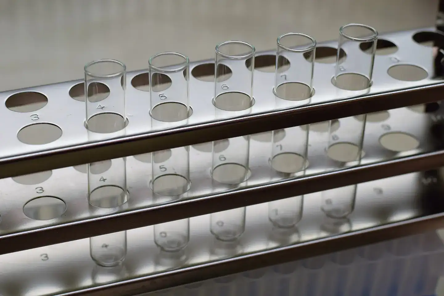 Test tubes in metal rack